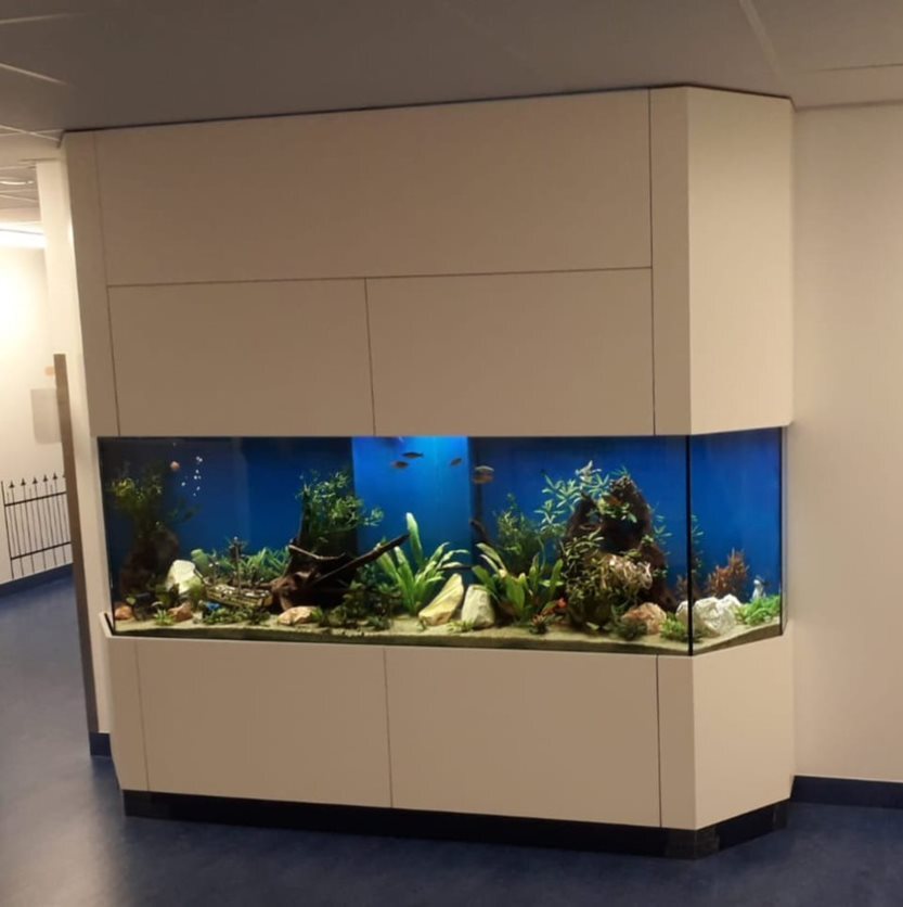 aquarium